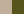 Beige Kaki