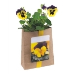 Sachet de graines