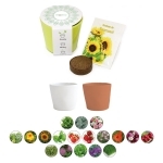 Kit de plantation 