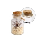 Produits Naturels