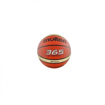 Ballon de Basket 