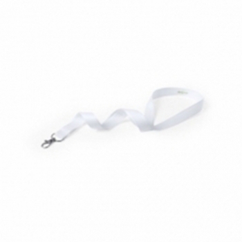 Lanyard
