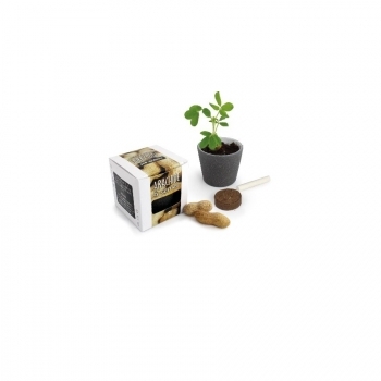 Pot à Graines Cube ARDOISE