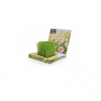 Carte Jardin