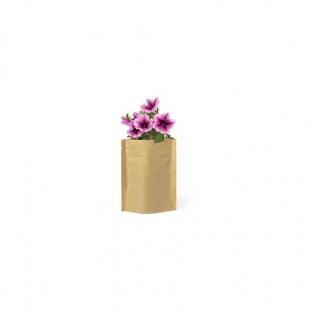 Pot de Fleurs Sober