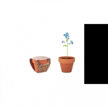 Pot graines de myosotis FORGET ME NOT