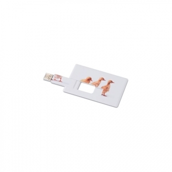 Creditcard. USB flash 4GB MEMORAMA