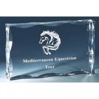 Trophée en verre